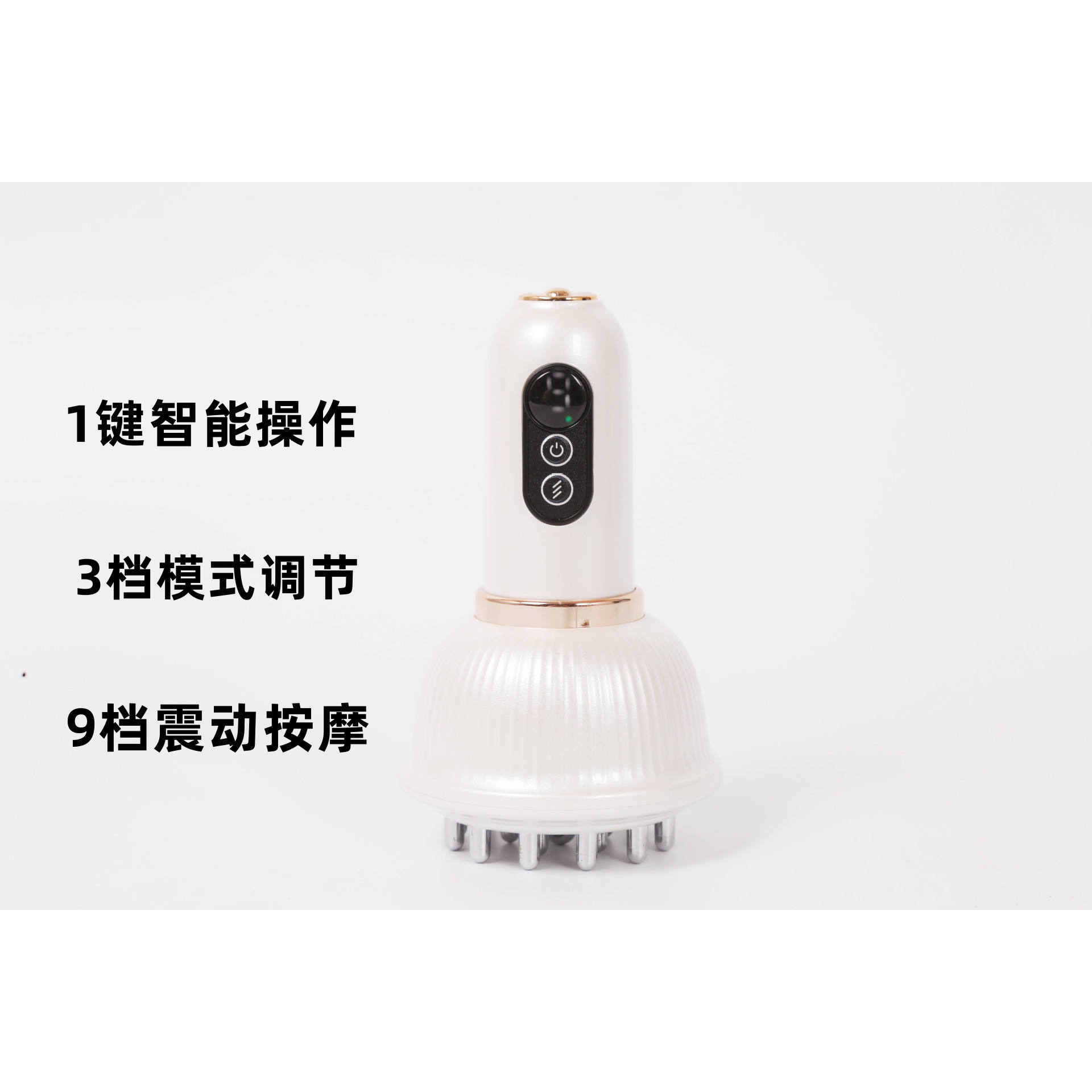 แปรงเมอริเดียน (สีขาว)