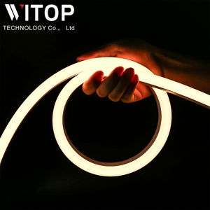IP67 LED Neon Strip LED Rope Neon light lumière blanche RGB <span class=keywords><strong>Fil</strong></span> de cuivre Étanche 12W 120leds/Pour mur LED Neon Flexible Strip - Product Image 6