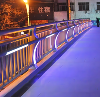 Barrière de projecteur LED pour éclairage de pont piétonnier en acier inoxydable pour projets municipaux