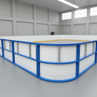 Panneau de protection pour patinoire synthétique en HDPE/PE résistant aux UV pour extérieur – Barrière murale professionnelle pour hockey sur glace, découpe facile pour la patinage