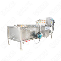 Stekelige Peer Wasmachine Voor Commerciële Productverwerking