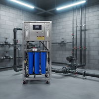 Unité de traitement d'eau saumâtre de forage par osmose inverse (RO) à débit direct 250 LPH 1600 GPD pour l'équipement de traitement de l'eau