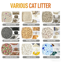 Litière pour chat OEM, vente chaude, 5 kg, forme de boule grise, 1-4 mm, 100 % naturelle, lavande, agglomération rapide, faible poussière, contrôle des odeurs, absorption rapide