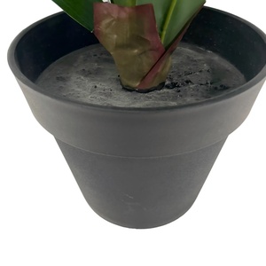 Giá rẻ PE nhân tạo dracaena Brazil cây máu Ngô variegated các loại trong nhà/ngoài trời cảnh quan chất lượng houseplant thời tiết - Product Image 5