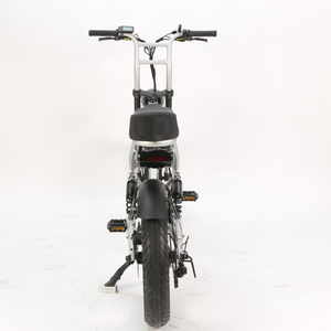 Bicicleta de Neumáticos Anchos de 20 Pulgadas, Batería de Litio, 7 Velocidades, Alta Calidad, 48v, Asiento Cómodo para Adultos, G01, Neumático Ancho, 500w - Product Image 2