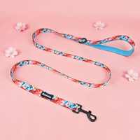 Harnais pour animaux de compagnie OEM personnalisé, réfléchissant, à dégagement rapide, en sangle de nylon de 2 cm, anti-traction, pour chiots et chats, pour l'extérieur