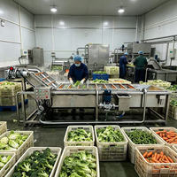 Machine industrielle de lavage, cirage et séchage des fruits et légumes, machine de nettoyage des légumes et des fruits