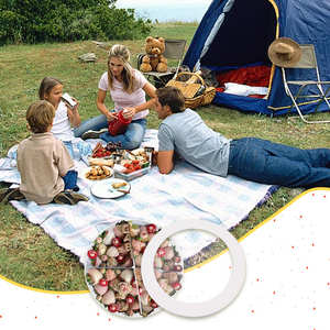 <b>Sweet</b> Charcuterie Packaging Biodegradable Rigid Large Cardboard Cylinder Shaped Food Safe <b>Gift</b> <b>Box</b> with Window Matt Lamination - Product Image 4