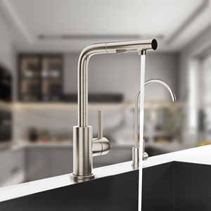 Одноручный выдвижной Распылитель кухонный кран с 2-мя настройками воды - Product Image 1
