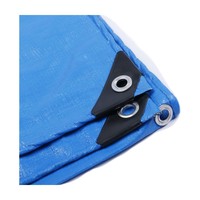 Chine Fournisseur 100% PE En Plastique Toile Ouvert Conteneur Feuille Bâche Bâche pour Extérieur Enduit Étang À Poissons Poly Bâche Tente