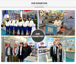 Filtro de gasolina HEPA con amplificador de fábrica para Audi A3 Chevrolet VW Daewoo <span class=keywords><strong>Seat</strong></span> Jaguar Alfa Romeo Saab BLS Toyota Nissan Ford Mazda - Product Image 5