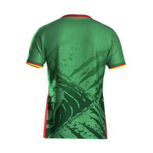 批发2025新喀麦隆国家队非洲职业足球喀麦隆球衣 - Product Image 2