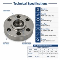 Bride de raccordement forgée en acier au carbone ASTM A105, classe 150 300 600, ASME B16.5, à joint RF, DN15 DN20 DN25 DN32, inspectée par CMM, pour l'industrie pétrolière et gazière
