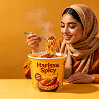 Nouilles Harissa épicées en gros, saveur nord-africaine, nouilles ramen instantanées, certifiées Halal