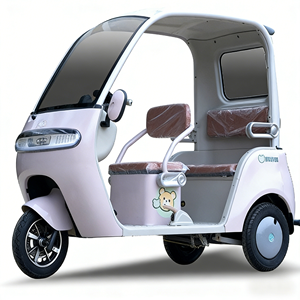 Tricycle électrique à carrosserie ouverte à <span class=keywords><strong>bas</strong></span> prix, 650W, pour adultes, 3 places, vitesse maximale de 35 km/h - Product Image 1