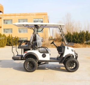 Carrito de Golf de Lujo Personalizado de 4 Plazas con Energía Solar, Batería de Litio, Alcance de 90 km, Motor de CA de 48V 4KW/5KW/7.5KW - Product Image 2