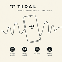 Abonnement Premium Tidal Music 12 mois, comptes Tidal, abonnement Tidal Hifi Plus 1 an
