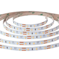 Bande LED flexible à longue durée de vie, 12V CC, indice de protection IP65, contrôlée par Wi-Fi, avec puces SMD2835, 60/120 LED/m, garantie 3 ans