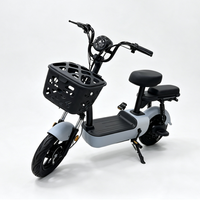 Vélo Électrique Urbain Double Siège pour Adultes de Haute Qualité – Vélo Électrique de Commutation pour 2 Personnes – Offre Spéciale