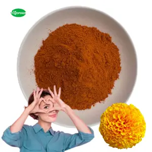 Kualitas Terbaik 10% bubuk bunga Lutein HPLC Tagetes Erecta sampel gratis bubuk ekstrak Marigold