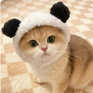 Chapeau pour animaux de compagnie en forme d'ours mignon, vêtements pour chat, chapeau d'hiver, fabricant de vêtements pour animaux de compagnie, design mignon, chapeau pour petit <span class=keywords><strong>chien</strong></span> et chat - Product Image 5