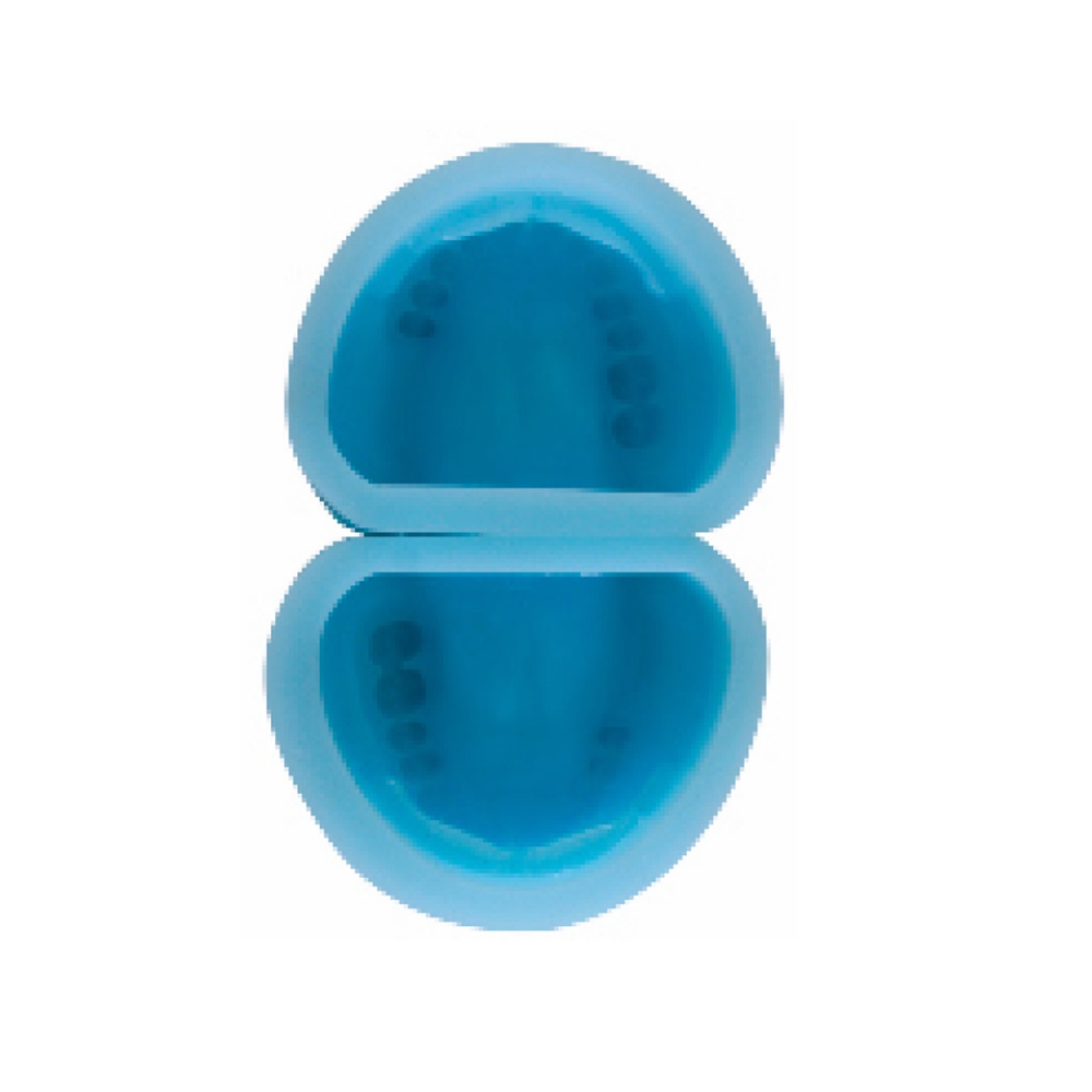 dental rubber mould