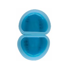 Dientes Edentulous Molde de goma Modelo de educación dental - Product Image 1