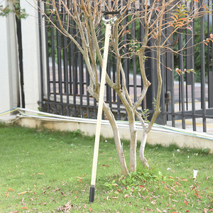 Rinoceronte manico in legno duro erbe infestanti cortile lungo attrezzo da giardino <span class=keywords><strong>zappa</strong></span> <span class=keywords><strong>zappa</strong></span> zuffa <span class=keywords><strong>zappa</strong></span> - Product Image 6