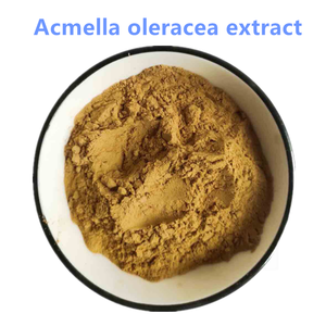 Doğal <span class=keywords><strong>10</strong></span>:<span class=keywords><strong>1</strong></span> 20:<span class=keywords><strong>1</strong></span> <span class=keywords><strong>Acmella</strong></span> <span class=keywords><strong>Oleracea</strong></span> bitki çiçek özü tozu - Product Image 2