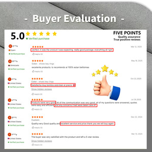 Joylit Thời Trang 3D Vòng Chìa Khóa Phim Hoạt Hình Lilo Khâu Đổ Xô Keychain 3D Túi Chìa Khóa Trang Trí Mặt Dây Chuyền Quà Tặng - Product Image 6