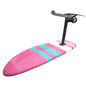 BESTEVE nouvelle taille ont Stock 168/210cm Efoil planches feuille électrique planche de surf à vendre - Product Image 2