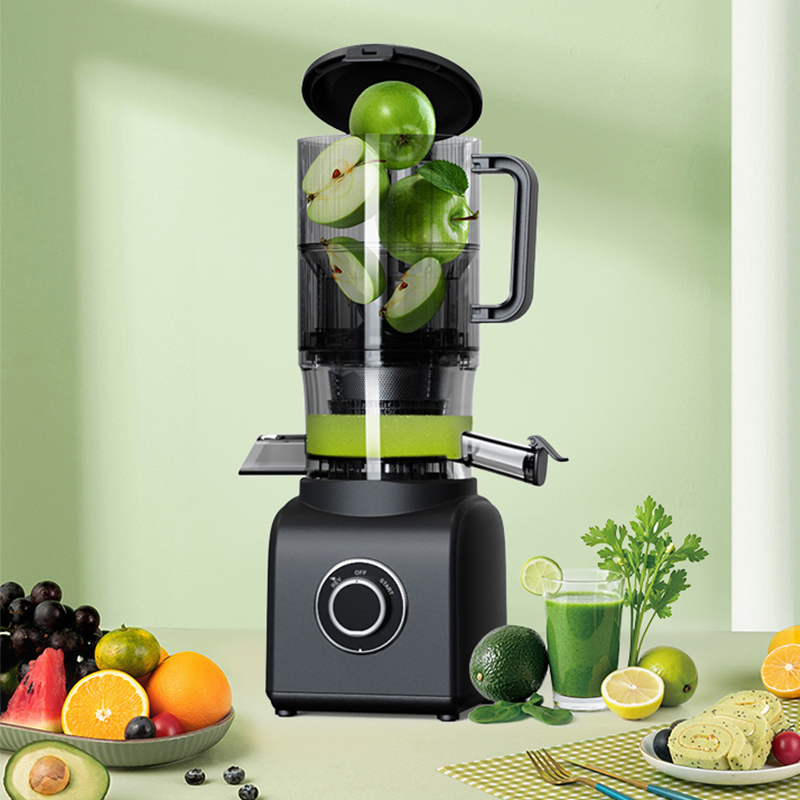 Professional 300W Electric Masticating Juicer for