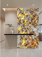 YDSTONE personnalisé pierre naturelle Patagonia luxe poli granit rétro-éclairé grandes dalles de granit Patagonia cristal