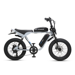 Moto électrique de tourisme TXED E Times Tourist S750 20 pouces tout-terrain 48V/750W 7 vitesses double batterie pneus larges 32 km/h - Product Image 2