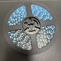 RGB S-förmiger LED-Streifen aus Kupfer mit 2835 Chips, Ra95 CRI 5000K Tageslicht, 60 LEDs/m für Landschaftsbeleuchtung