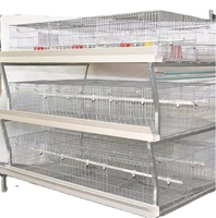 Nouvelle cage à poulets de type H en acier, équipement d'élevage avicole, cage à poulets de chair, système d'alimentation automatique, haute, 3-5 niveaux, galvanisée à chaud
