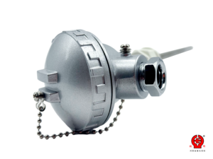 Sonde de température industrielle gainée WZPK à montage sur bride fixe, type Pt100 RTD, IP66 avec boîtier de terminaison, longueur personnalisée OEM/ODM - Product Image 2