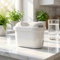 Élément filtrant antibactérien aux ions d'argent et au charbon actif anti-calcaire pour l'eau potable domestique – Vente chaude, prix direct usine