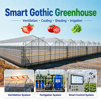 Prefab geconstrueerde industriële slimme grote hydroponische systeemtunnel tomatenkas landbouwkassen