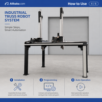 Robot Cartesiano Motorizado CNC con Sistema Lineal de Precisión Accionado por Husillo de Bolas