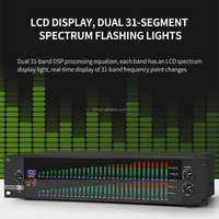 TNH AM-EQ888S égaliseur numérique stéréo graphique professionnel double 31 bandes 2U avec réducteur de bruit processeur DSP affichage LED