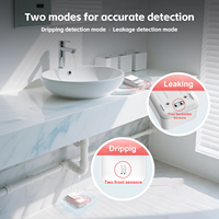 Détecteur de fuite d'eau WiFi Graffiti avec sonde double face haute précision, alarme de niveau d'immersion à distance pour maison intelligente
