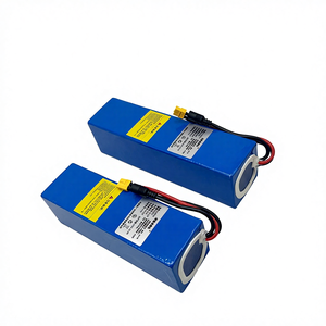 Batterie au lithium 24V, bande longue, 6S22.2V, 7S, scooter, grande capacité, hélice, moteur haute puissance, traction de filet, température de fonctionnement -10-45 - Product Image 1