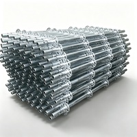 Andamios Ringlock de Acero Galvanizado de Alta Resistencia, Sistema de Construcción con Servicio de Entrega Rápida