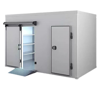 Chambre froide de vente chaude Walk in Freezer Walk in Cooler Walk in Chiller Cold Storage pour la viande