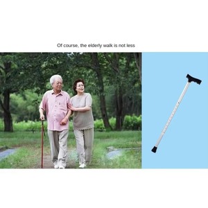 Professional Manufactured Convenient Walking Aid for Elderly Older People - Product Image 2