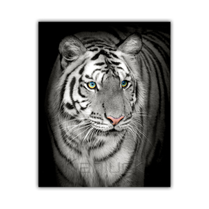 Impresionante <span class=keywords><strong>tigre</strong></span> <span class=keywords><strong>blanco</strong></span> original con cautivadores ojos azules, impresión digital al óleo sobre lienzo, arte <span class=keywords><strong>de</strong></span> pared moderno <span class=keywords><strong>de</strong></span> 40x50cm - Product Image 1