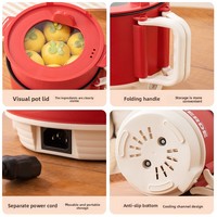 Vente chaude d'une personne multifonctionnelle marmite électrique dortoir transfrontalier pliant petit pot pour cuire à la vapeur friture ménage