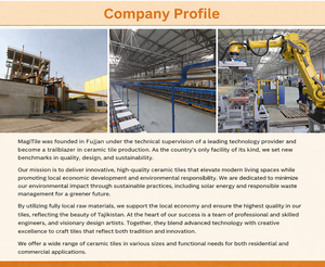 ผู้ผลิตกระเบื้องเซรามิก ผู้จัดจำหน่ายกระเบื้องบุผนังภายใน ผู้ผลิตกระเบื้องเซรามิกแบบ OEM โรงงานกระเบื้องพอร์ซเลนแบบ OEM สำหรับแบรนด์ต่างๆ - Product Image 3