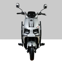 Electric Off-Road Motorcycle Dual Disc Brake 1000W High Speed Long Range 60v 20ah Lead-Acid Battery for Adult Commuter